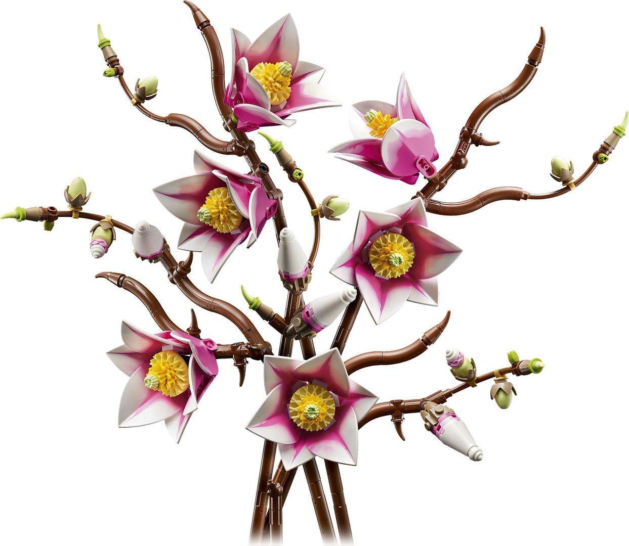 Magnolia Branches