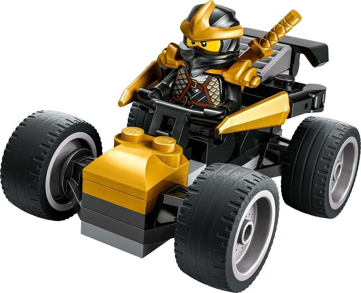 Ninja Cole's Car