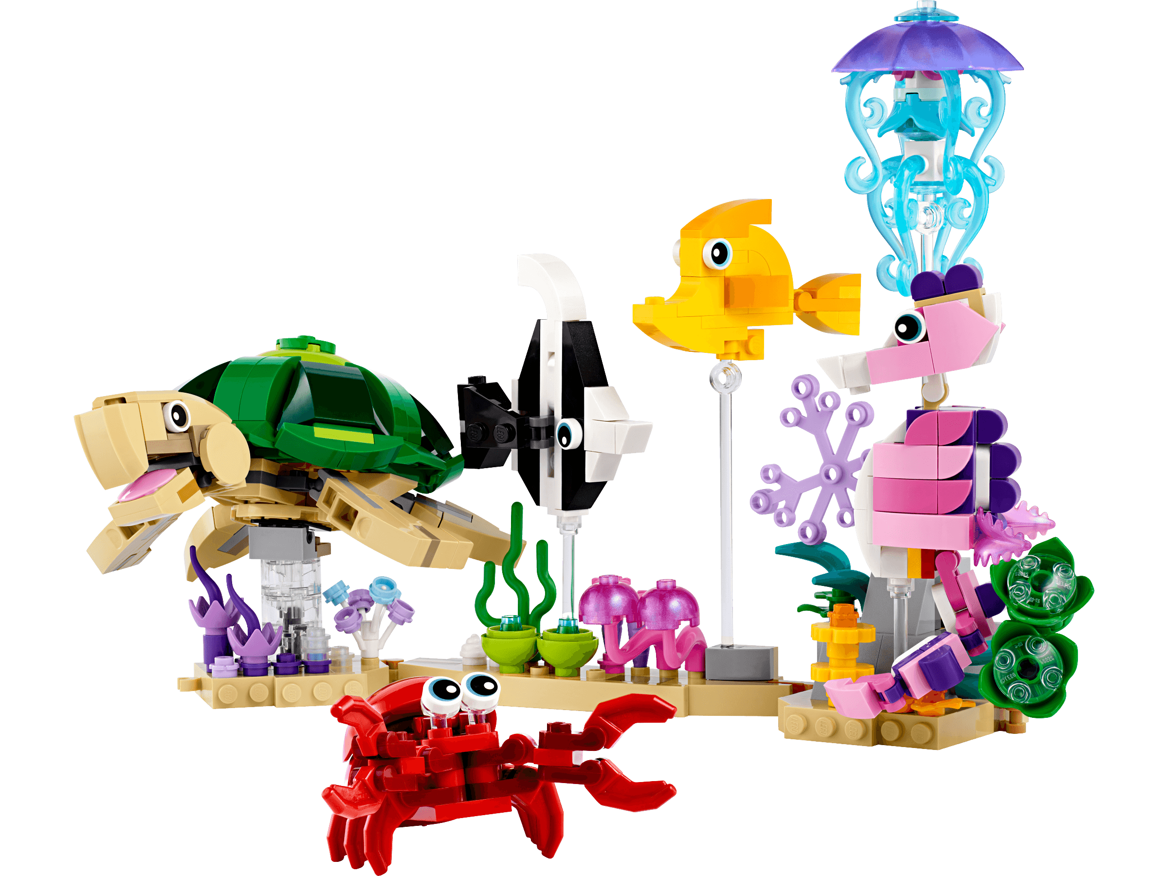 Sea Animals