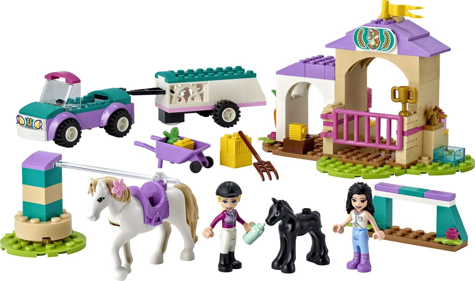 Horse Training and Trailer