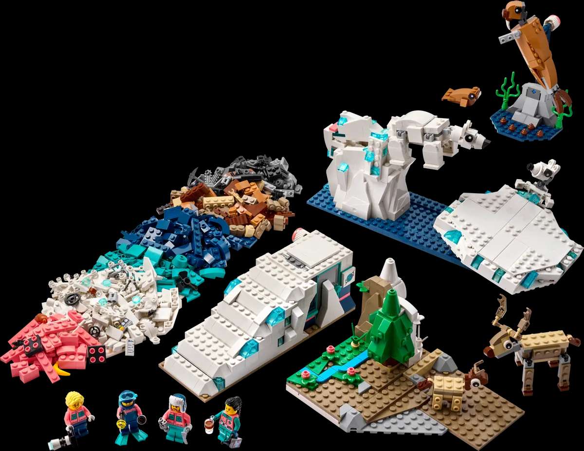 Arctic Animals Science Kit