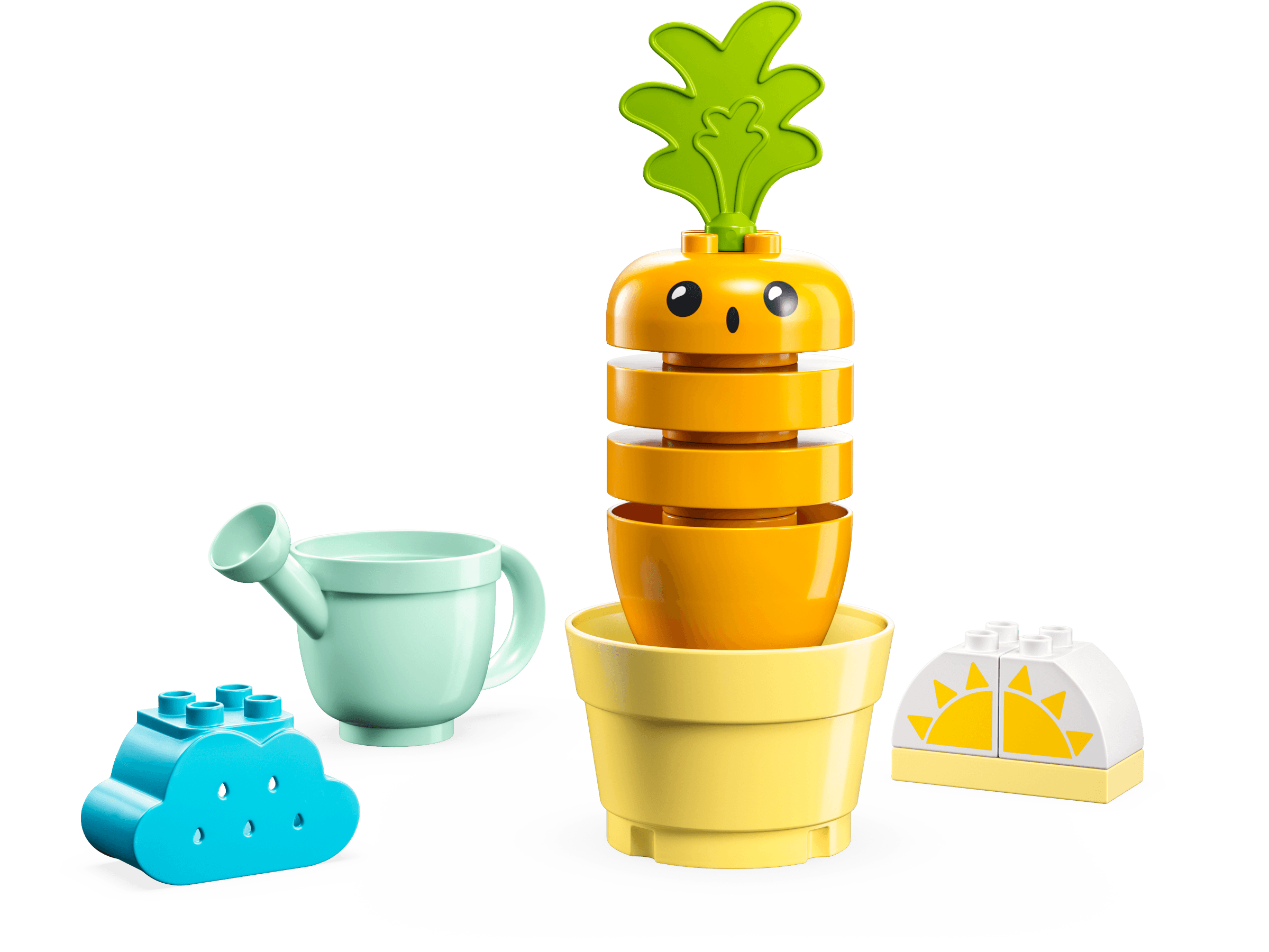 Growing Carrot