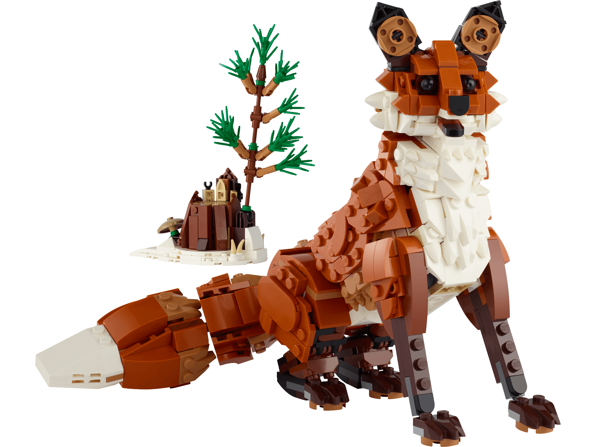 Forest Animals: Red Fox