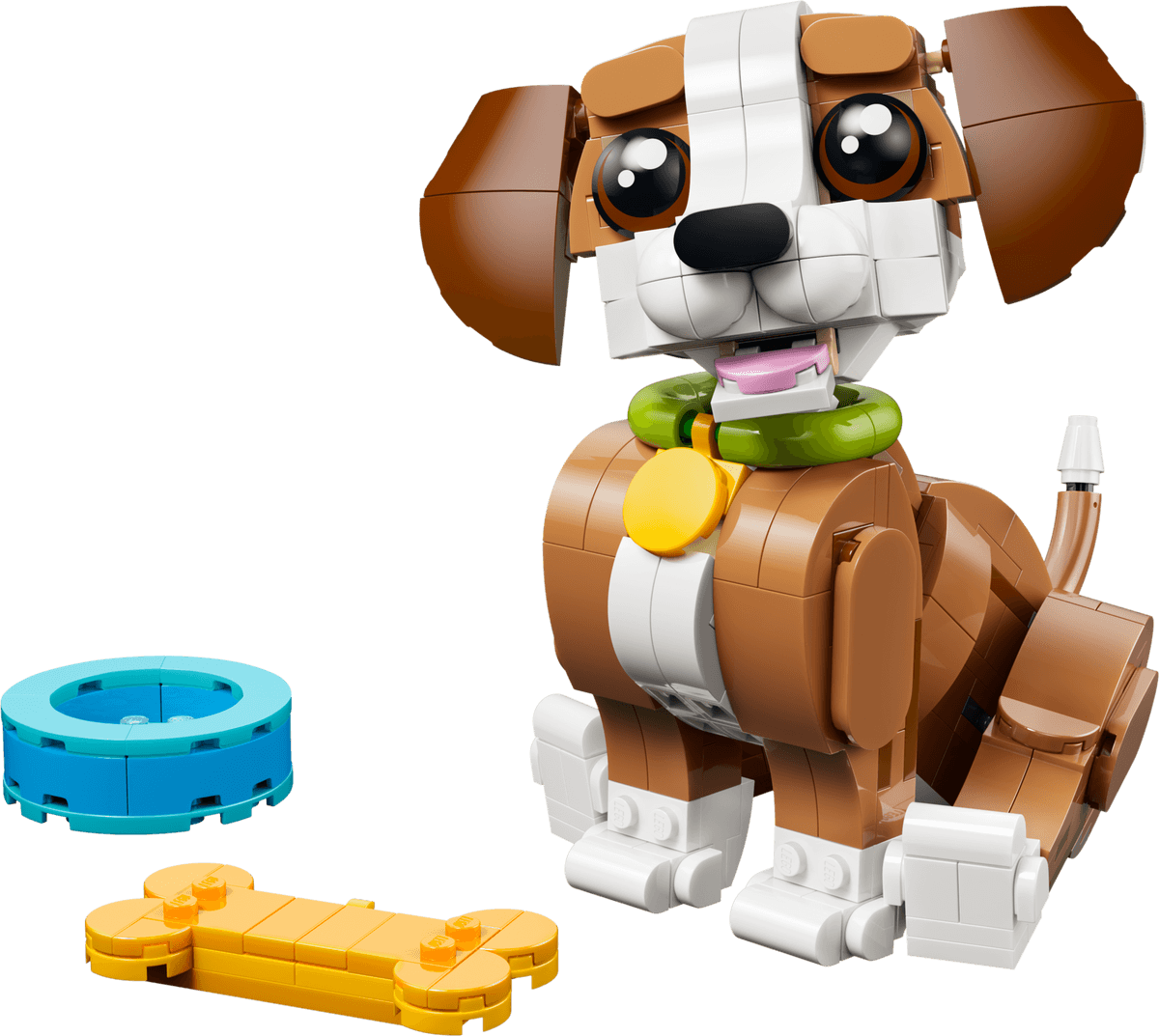 Cute Animals: Playful Puppy Dog