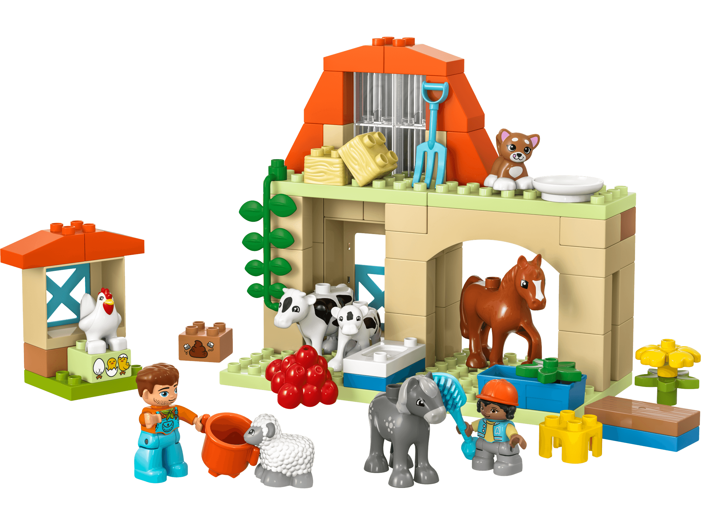 Caring for Animals at the Farm