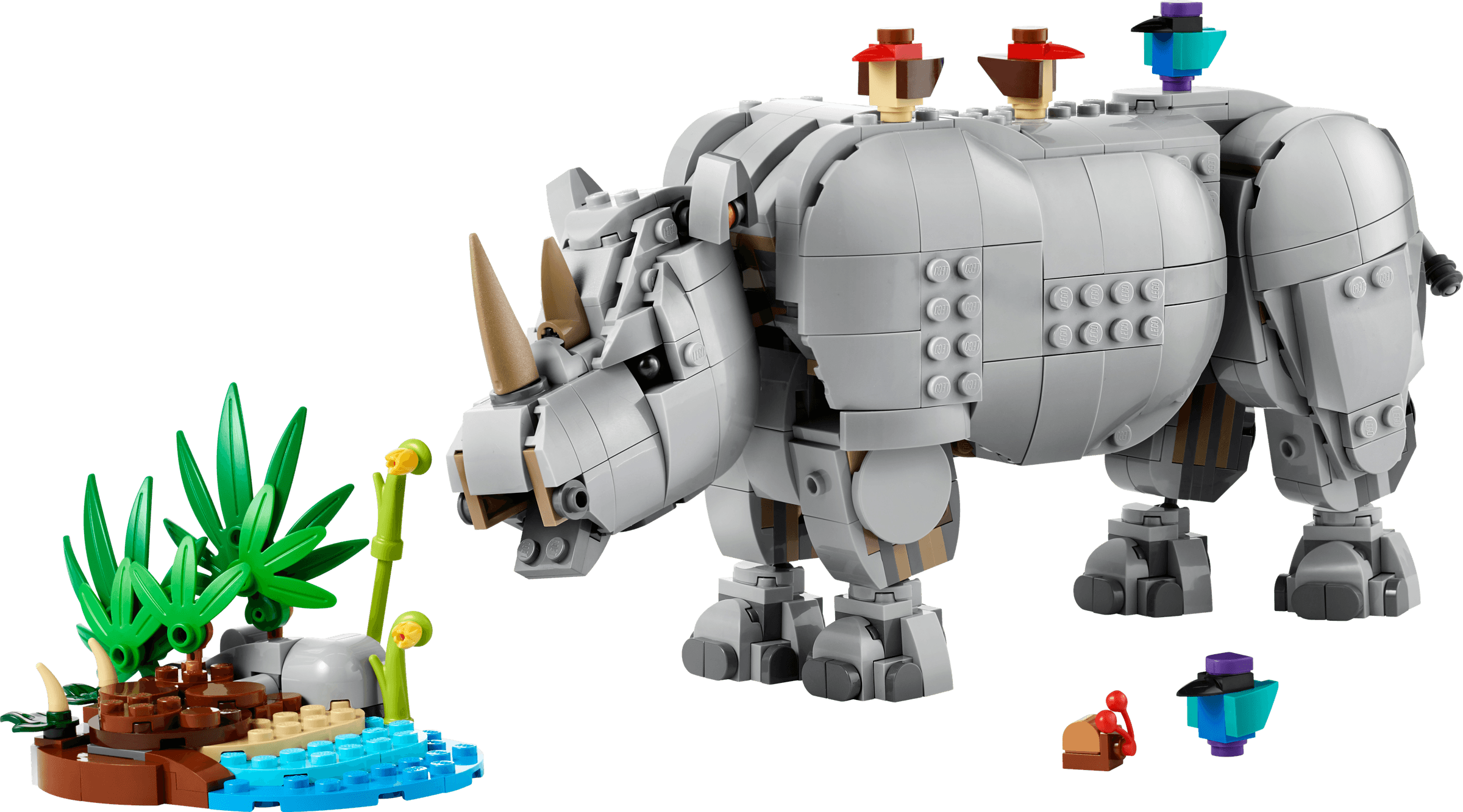 Wild Animals: Majestic Rhino with Birds